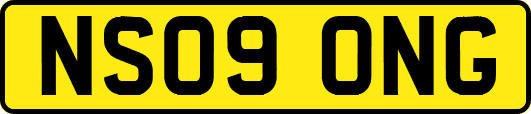 NS09ONG