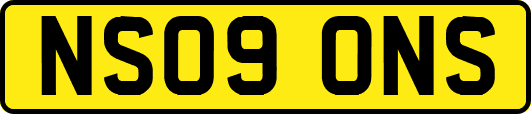 NS09ONS