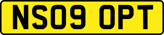 NS09OPT