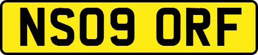 NS09ORF