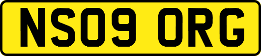 NS09ORG