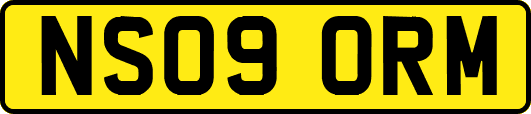 NS09ORM
