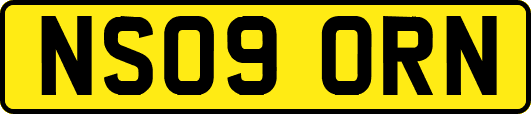 NS09ORN