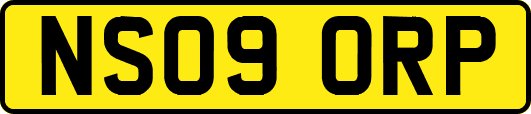 NS09ORP
