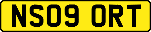 NS09ORT