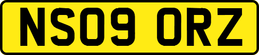 NS09ORZ