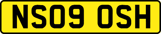 NS09OSH