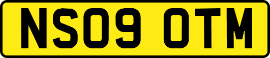 NS09OTM