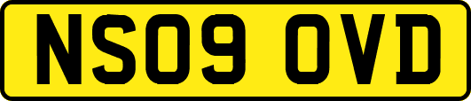 NS09OVD
