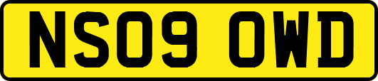 NS09OWD