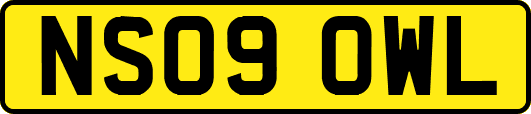 NS09OWL