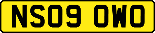 NS09OWO