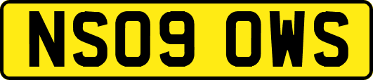 NS09OWS