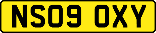 NS09OXY