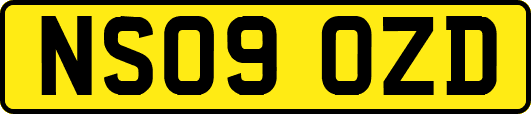 NS09OZD