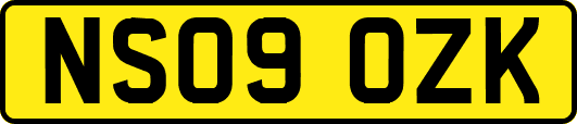 NS09OZK