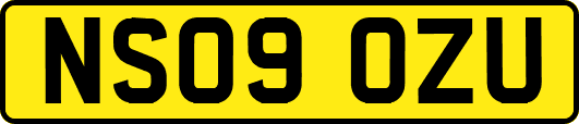 NS09OZU