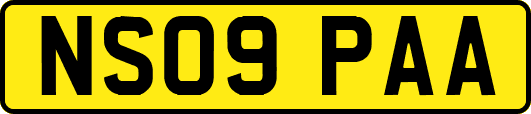 NS09PAA