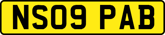 NS09PAB
