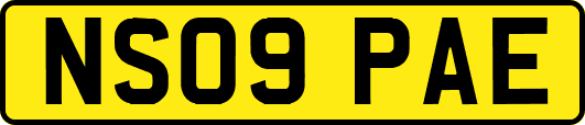 NS09PAE