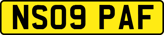 NS09PAF