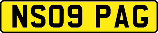NS09PAG