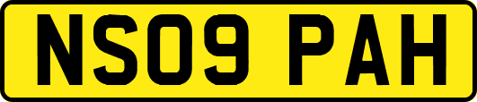 NS09PAH