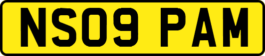 NS09PAM