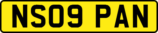NS09PAN