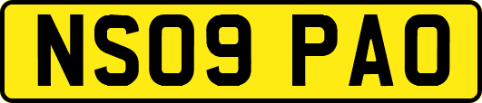 NS09PAO