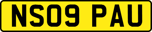 NS09PAU
