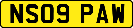 NS09PAW