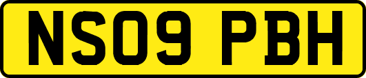 NS09PBH