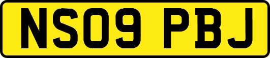 NS09PBJ