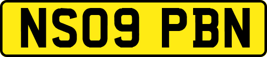 NS09PBN