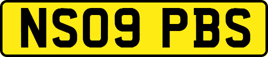 NS09PBS