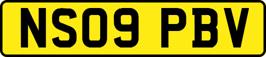 NS09PBV
