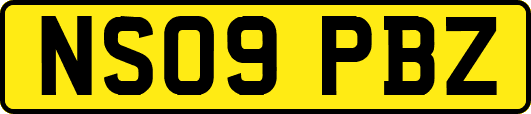 NS09PBZ