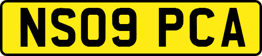 NS09PCA