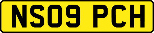 NS09PCH