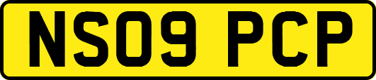 NS09PCP