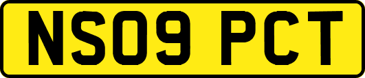 NS09PCT