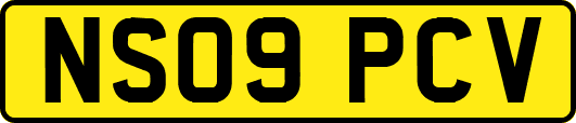 NS09PCV