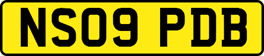 NS09PDB