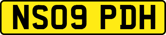 NS09PDH