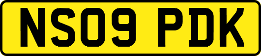 NS09PDK