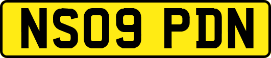 NS09PDN