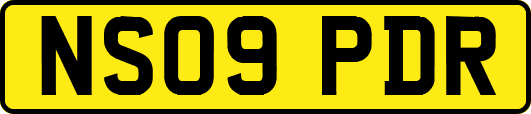 NS09PDR