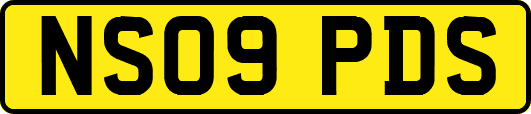 NS09PDS