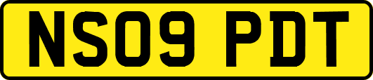 NS09PDT